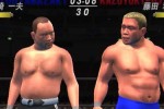 All Star Pro-Wrestling (PlayStation 2)