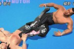 All Star Pro-Wrestling (PlayStation 2)