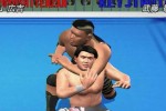 All Star Pro-Wrestling (PlayStation 2)