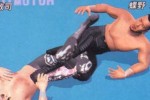 All Star Pro-Wrestling (PlayStation 2)