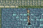 Tomb Raider (Game Boy Color)