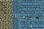 Tomb Raider (Game Boy Color)