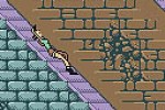 Tomb Raider (Game Boy Color)