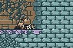 Tomb Raider (Game Boy Color)