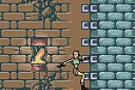 Tomb Raider (Game Boy Color)