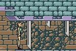 Tomb Raider (Game Boy Color)