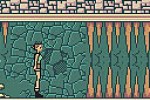 Tomb Raider (Game Boy Color)