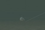 Trophy Bass 4 (PC)