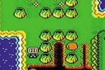 Bomberman Max Blue: Champion (Game Boy Color)