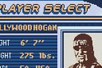 WCW Mayhem (Game Boy Color)