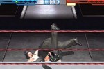 WWF SmackDown! (PlayStation)