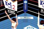 K-1 Grand Prix (PlayStation)