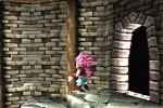 Tomba! 2: The Evil Swine Return (PlayStation)