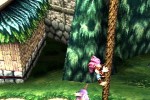 Tomba! 2: The Evil Swine Return (PlayStation)