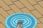 Dogz (Game Boy Color)