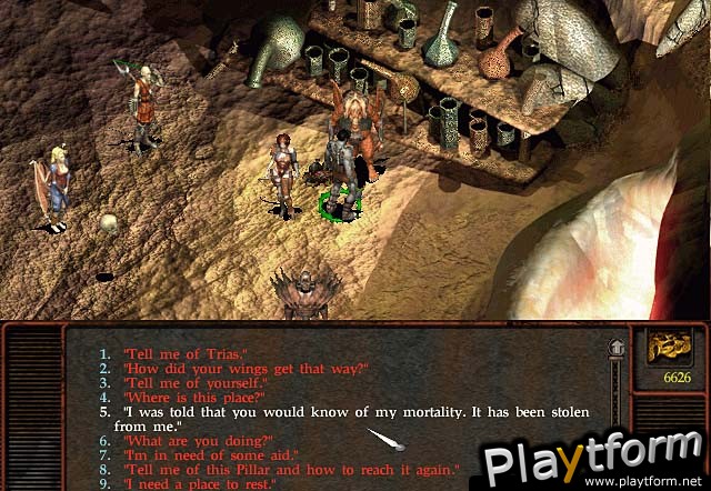 Planescape: Torment (PC)