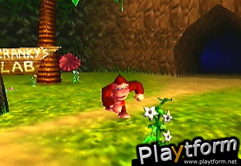 Donkey Kong 64 (Nintendo 64)