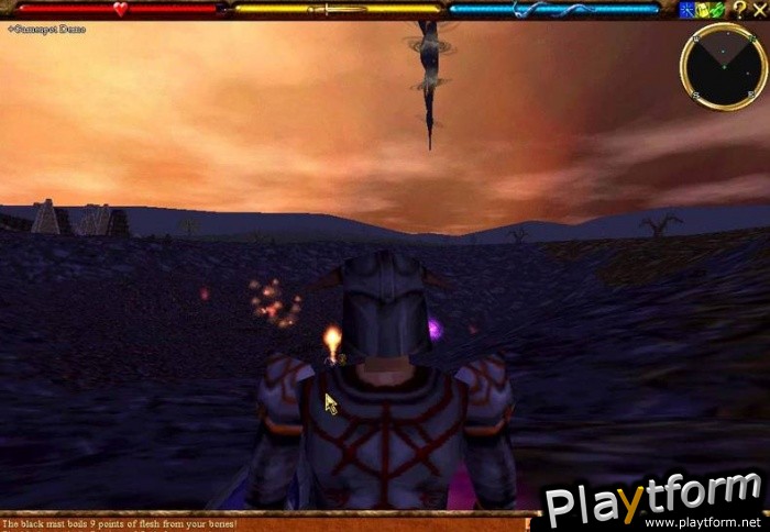 Asheron's Call (PC)