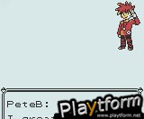 Pokemon Yellow Version: Special Pikachu Edition (Game Boy)