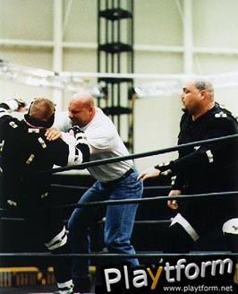 WCW Mayhem (Nintendo 64)