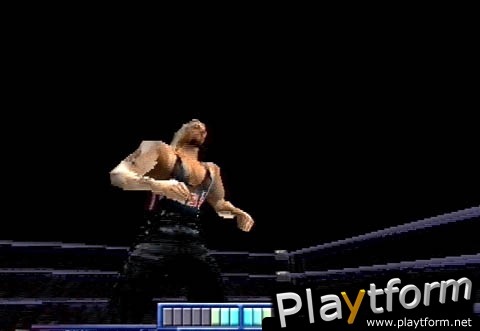 WCW Mayhem (PlayStation)