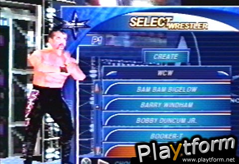 WCW Mayhem (PlayStation)