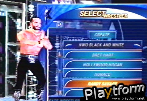 WCW Mayhem (PlayStation)
