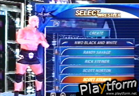 WCW Mayhem (PlayStation)