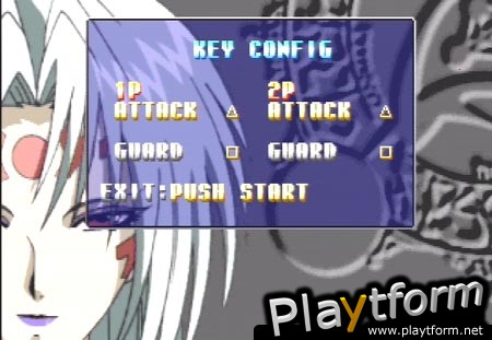 Evil Zone (PlayStation)