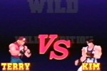 Fatal Fury: Wild Ambition (PlayStation)
