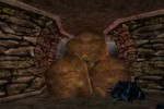 Asheron's Call (PC)