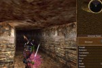 Asheron's Call (PC)