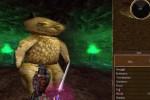 Asheron's Call (PC)