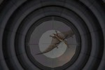 Carnivores 2 (PC)