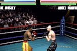 Knockout Kings 2000 (PlayStation)