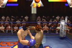 Ready 2 Rumble Boxing (PlayStation)