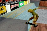 Thrasher Presents: Skate and Destroy (PlayStation)