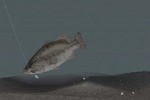 Bass Rise (PlayStation)