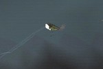 Bass Rise (PlayStation)
