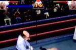 Ready 2 Rumble Boxing (Dreamcast)