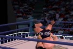 WCW Mayhem (Nintendo 64)