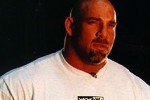 WCW Mayhem (Nintendo 64)