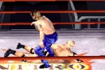 WCW Mayhem (PlayStation)