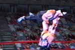 WCW Mayhem (PlayStation)