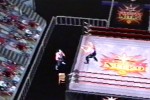 WCW Mayhem (PlayStation)