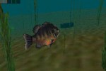 In-Fisherman Bass Hunter 64 (Nintendo 64)