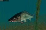 In-Fisherman Bass Hunter 64 (Nintendo 64)