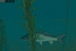 In-Fisherman Bass Hunter 64 (Nintendo 64)