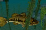 In-Fisherman Bass Hunter 64 (Nintendo 64)