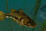 In-Fisherman Bass Hunter 64 (Nintendo 64)